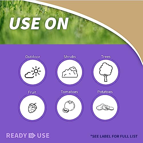 Bonide Copper Fungicide for Organic Lawn & Garden Protection
| Copper Fungicide 1 lb. Ready-to-Use for Organic Gardenin